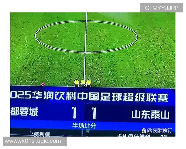 刘洋精彩助攻助力山东泰山队再创佳绩展现团队协作精神