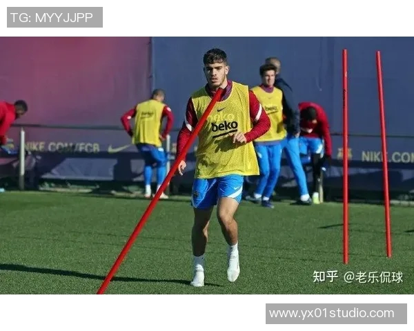 马德里竞技新转会引发球迷热议，会是个大杀器吗？